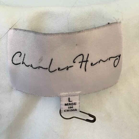 Chanler Henry Sleeveless Deep V-Neck Dress with Ruffle Size L - Picture 10 of 11